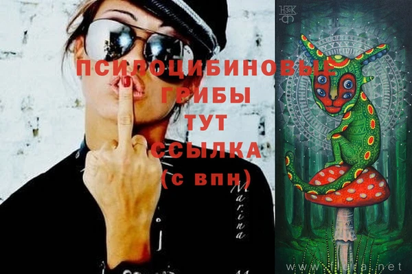 гидра Канск