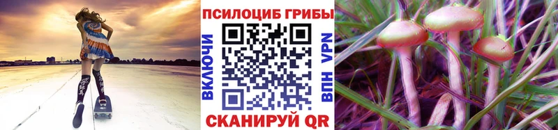 мориарти состав  наркотики  Нея  Галлюциногенные грибы Magic Shrooms 