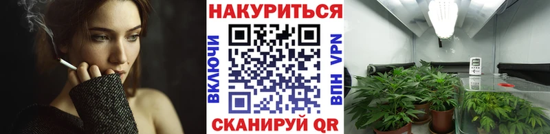 МАРИХУАНА сатива  Нея 